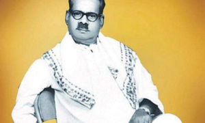 அழகின் சிரிப்பு